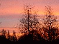 Picture for song 'Fact Of Life' by artist 'Senor Perfecto'