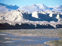 Picture for song 'Botanic' by artist 'Series Six'