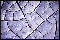 Picture for song 'Pink Umbrella' by artist 'Series Six'