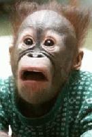 Picture for song 'Ape City' by artist 'Serious Monks'