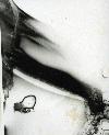 Picture for song 'Impromptu' by artist 'Serplitude'