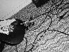Picture for song 'La Musica 3' by artist 'Serplitude'