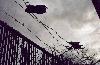 Picture for song 'Nothingness' by artist 'Serplitude'