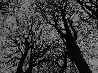 Picture for song 'Expell' by artist 'Server (UK)'