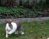 Picture for song 'untitled' by artist 'Seth VanHorn'