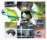 Picture for song 'fourteen' by artist 'Setzer'