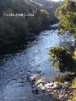 Picture for song 'Trail song' by artist 'Setzer'