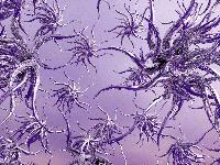 Picture for song 'Short Thing' by artist 'Seunghoon Lee'