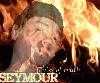 Picture for song 'Hot !' by artist 'seymour hennessey'
