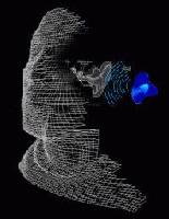 Picture for song 'Revelation' by artist 'SFU'