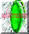 Picture for song 'subterranean' by artist 'SFU'