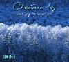 Picture for song 'The Huron Carol (Iesus Ahatonnia)' by artist 'SGIW'