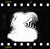 Picture for song 'Gaping Void' by artist 'Shackled Fervor'