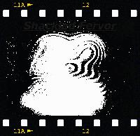 Picture for song 'New Acoustic Idea' by artist 'Shackled Fervor'