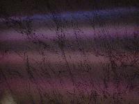 Picture for song 'Untitled' by artist 'Shade of Blue'