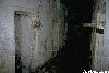 Picture for song 'Urthlings - Stay out of the basement' by artist 'Shade Rhapsodist'