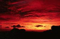 Picture for song 'GotU' by artist 'Shadowave'