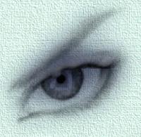 Picture for song 'Love Will Find You' by artist 'Shaggy Dog'