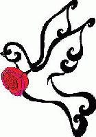 Picture for song 'The Beauty' by artist 'Shanti Wintergate'