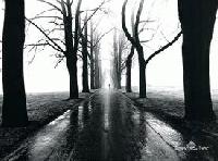 Picture for song 'RuN' by artist 'Shaunknee Laps'