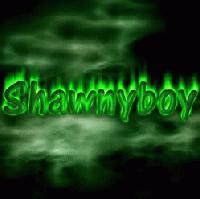 Picture for song 'Vs Singh (Sing)' by artist 'Shawnyboy'