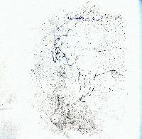 Picture for song 'knee high' by artist 'sheenforce 5'