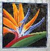 Picture for song 'Bird of Paradise' by artist 'Sheephead'