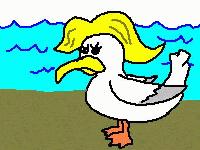 Picture for song 'Lesbian Seagull' by artist 'Shif Master TEA'