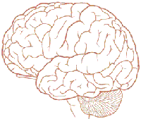 Picture for song 'Fragile Little Mine' by artist 'Shimmer'