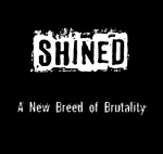 Picture for song 'Believer' by artist 'Shined'