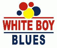 Picture for song 'Cool Whiteboy' by artist 'Shivtaz'
