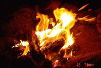 Picture for song 'a new way' by artist 'shopkeeper'