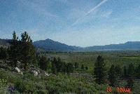 Picture for song 'richest seed' by artist 'shopkeeper'