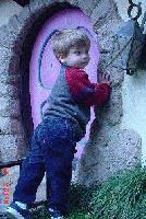 Picture for song 'spiral' by artist 'shopkeeper'