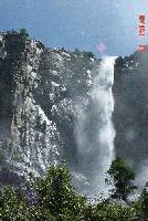 Picture for song 'the prowl' by artist 'shopkeeper'