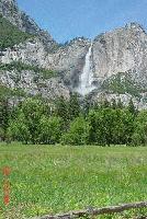 Picture for song 'the wine' by artist 'shopkeeper'