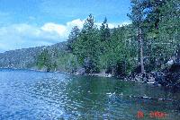 Picture for song 'watch them' by artist 'shopkeeper'