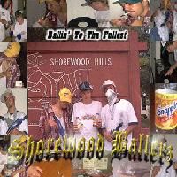 Picture for song '1998-2004' by artist 'Shorewood Ballerz'