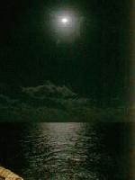 Picture for song 'moonlight (live)' by artist 'shotgun samurai'