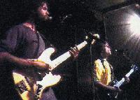 Picture for song 'What More' by artist 'Shredlocks'