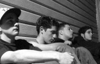 Picture for song 'Black Flag' by artist 'Shrill'