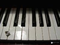 Picture for song 'My Life' by artist 'ShyninStarr'