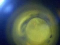 Picture for song 'Moonlight Madness' by artist 'Sick and Deranged'