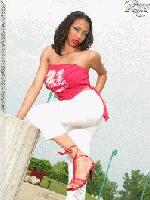 Picture for song 'Sparks-Spark it up' by artist 'Sick Vocal Productions'