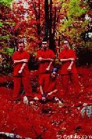 Picture for song 'Cyphilis - Mud Flap Lip' by artist 'Signalfading'