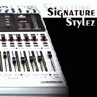 Picture for song 'Champion (No Competition)' by artist 'Signature Stylez'