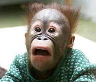 Picture for song 'Trash Indeed' by artist 'silencespeaks'