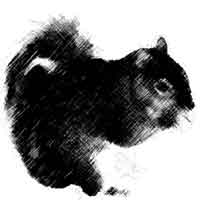 Picture for song 'I Want it That Way Cover' by artist 'SimianResistance'