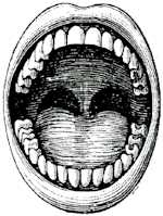 Picture for song 'Run Your Mouth' by artist 'SiMPLE and KiLLiANZ'