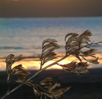 Picture for song 'Promise Bay' by artist 'SimpleSimon'
